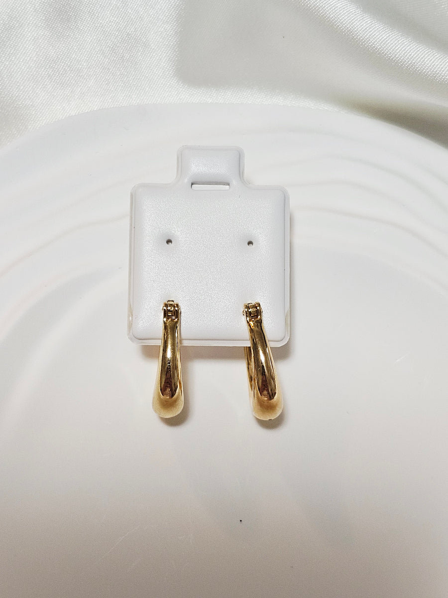 ElectroForm Earring