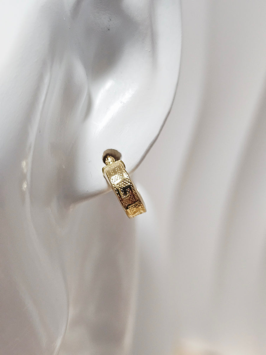 Loop Earrings