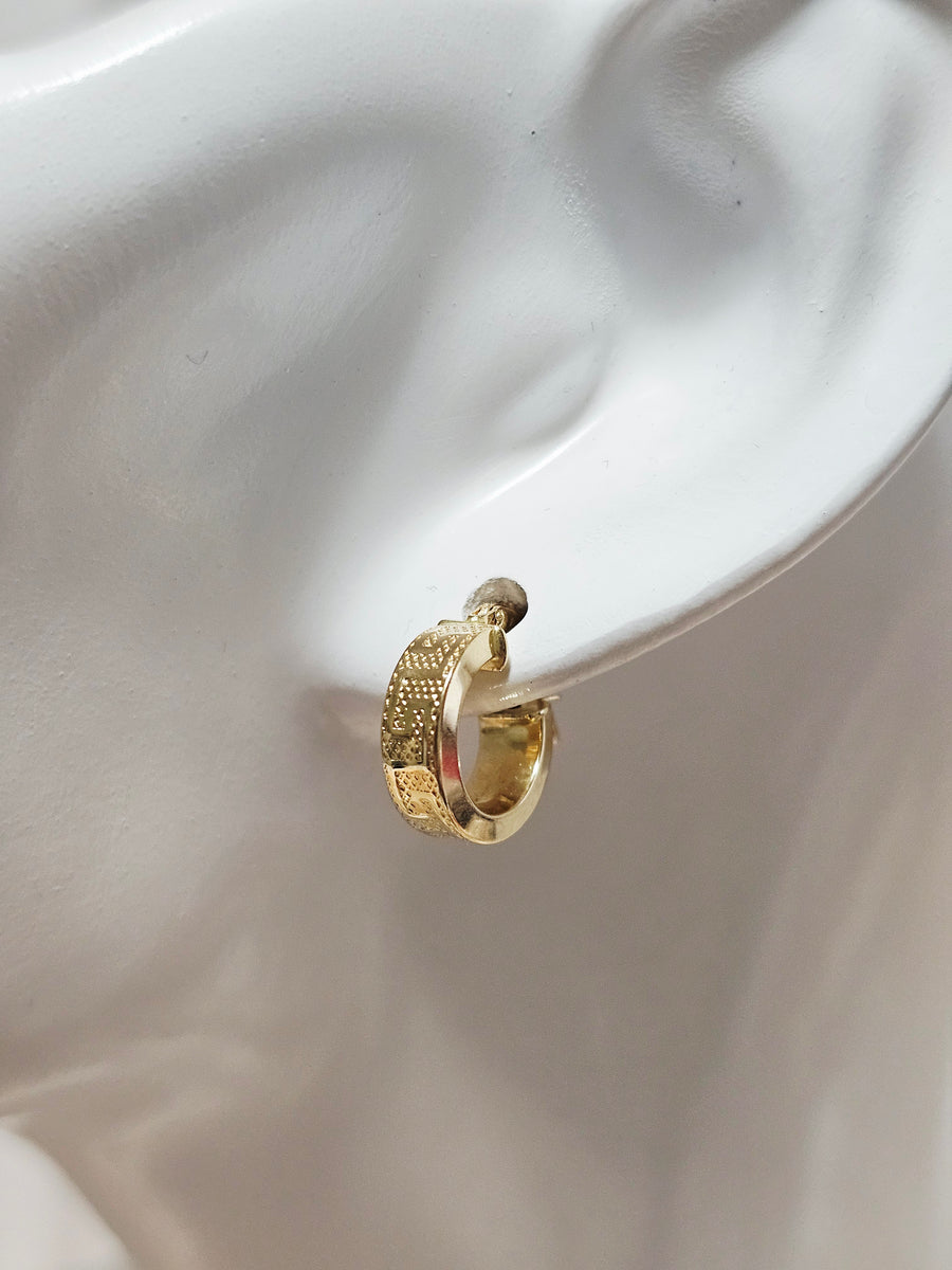 Loop Earrings