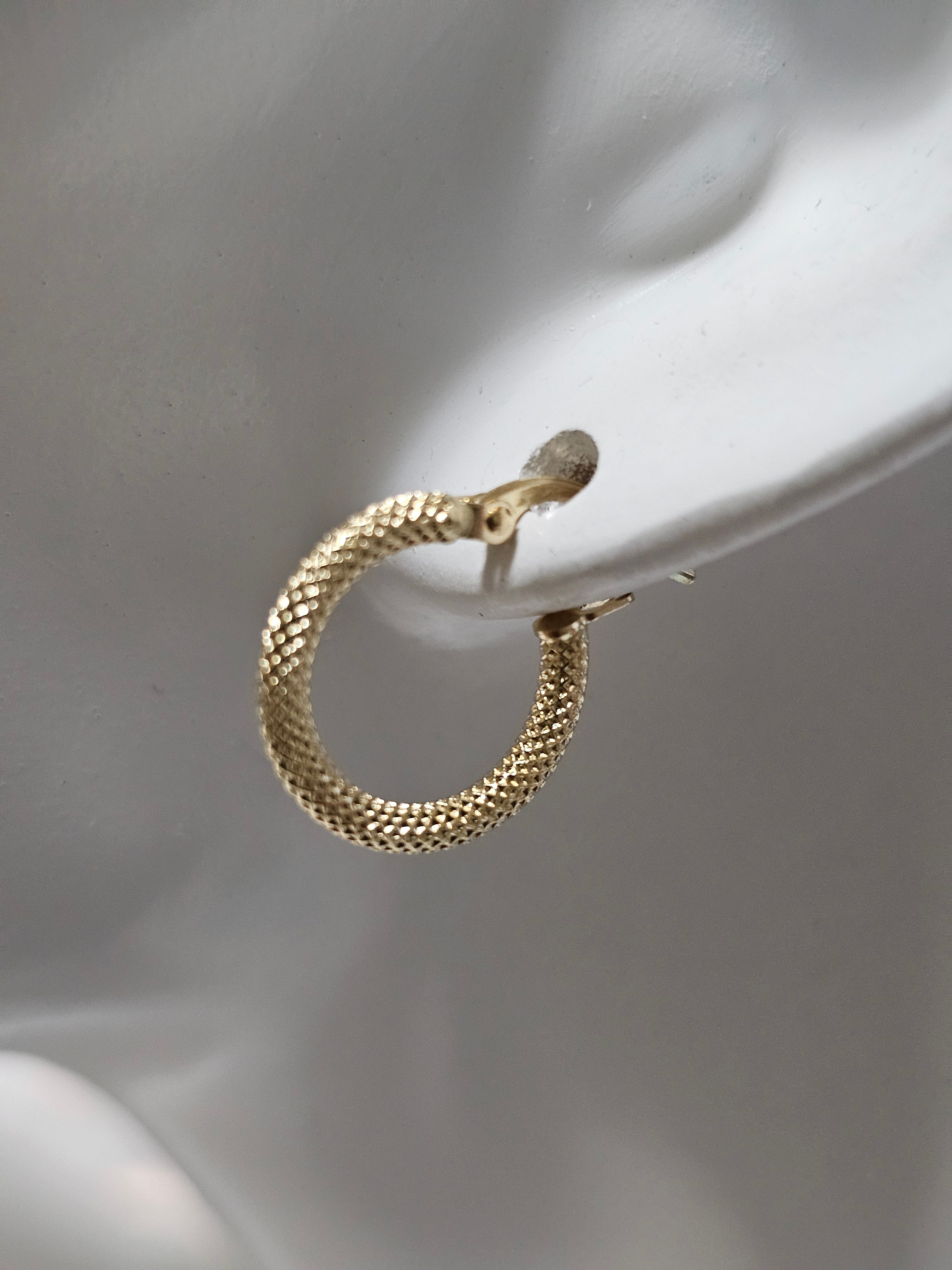 Loop Earrings
