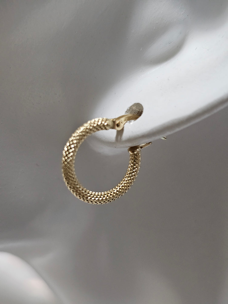 Loop Earrings