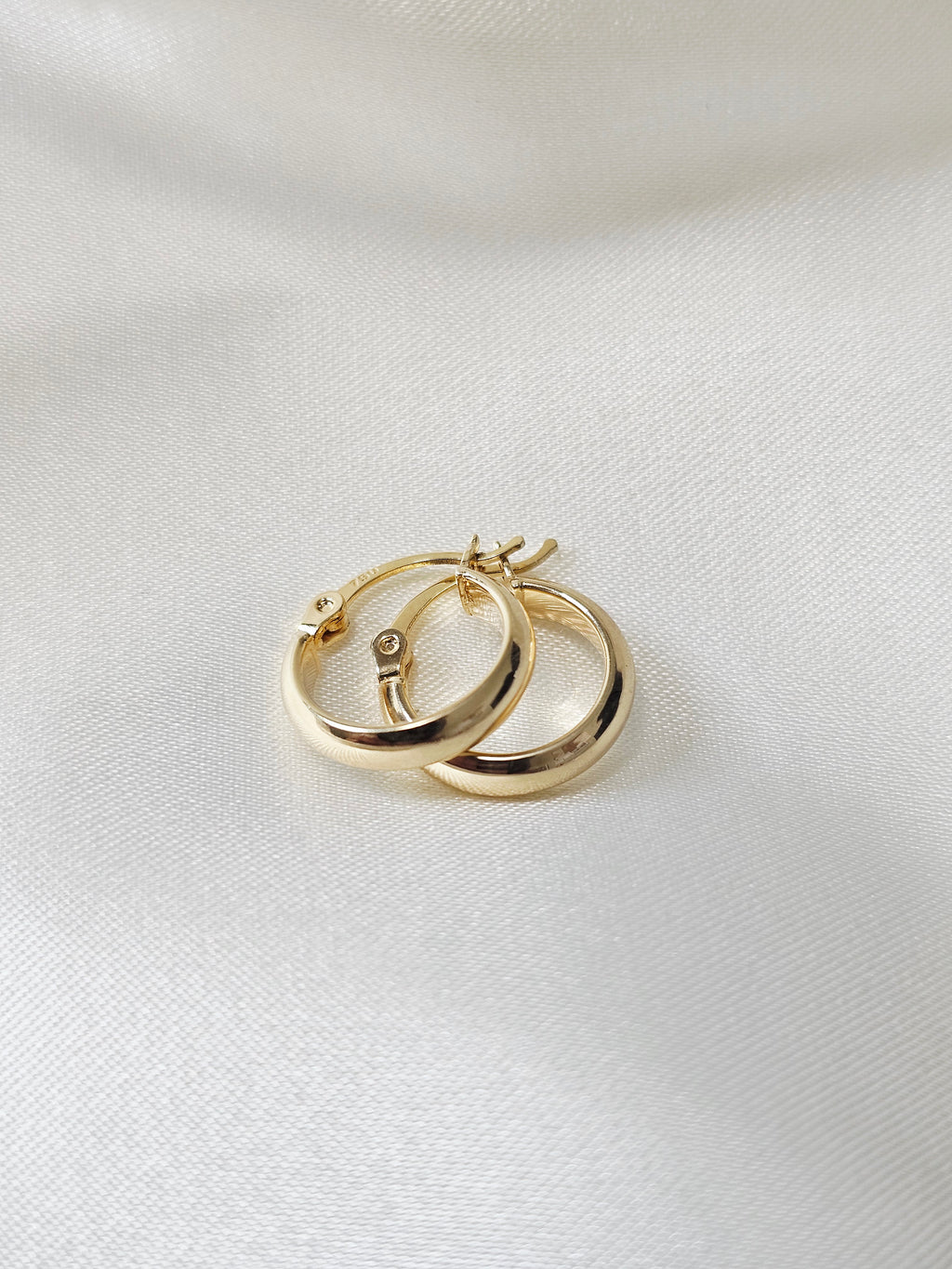 Small Plain Loop Earrings