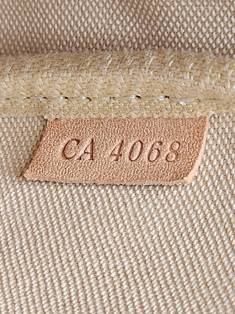 Damier Azur Pochette Accessories Handbag