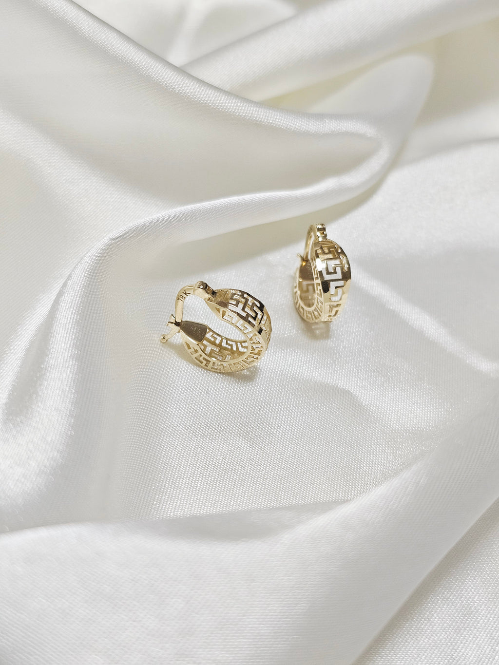 Fendi Inspired Loop Earrings
