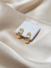 Loop Earrings