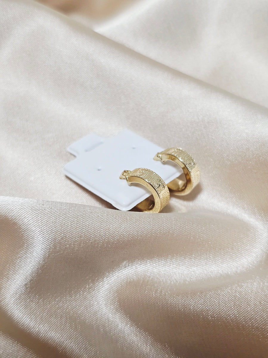 Loop Earrings
