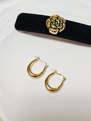 ElectroForm Earring