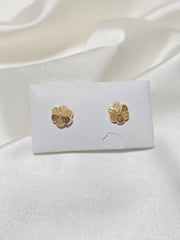 BALL SCREW TYPE EARRING