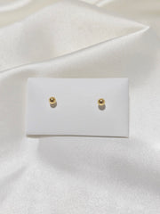 BALL SCREW TYPE EARRING